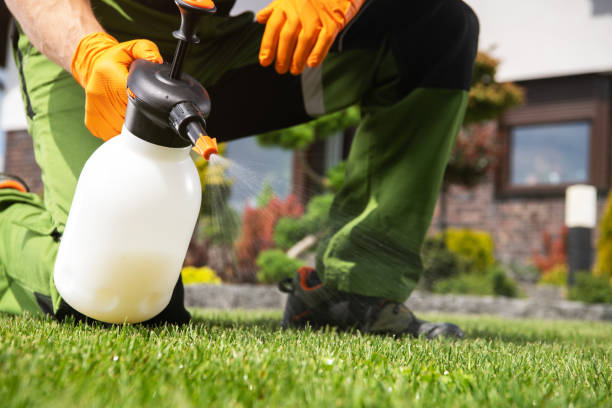 Best Termite Control Services  in Carteret, NJ