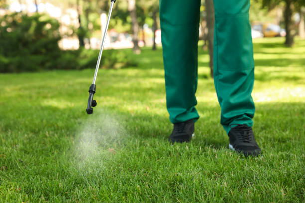 Best Rat Extermination Near Me  in Carteret, NJ