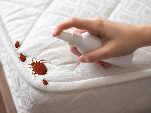 Best Pest Removal Services  in Carteret, NJ
